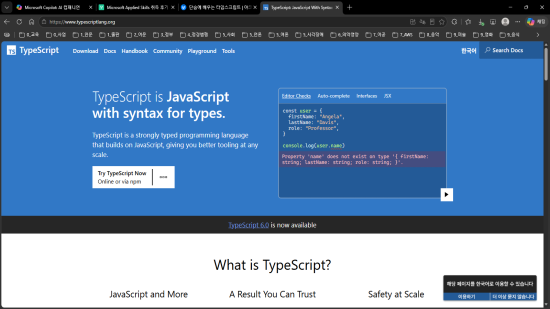 TypeScript 공식사이트의 패키지 검색 페이지 화면